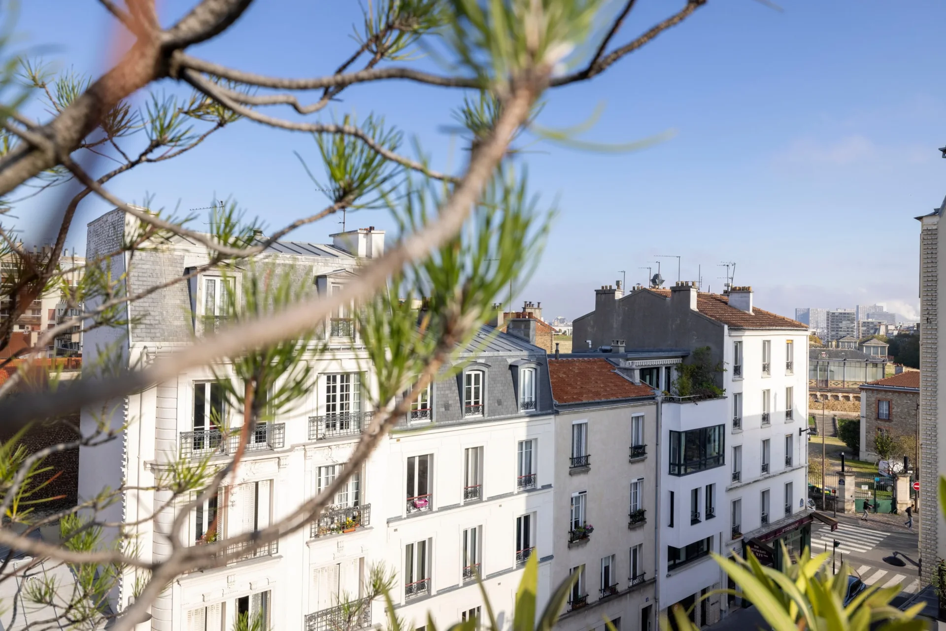 Vue sur les toits et les façades depuis MAISON LAVAUD - Paris, appart hôtel de luxe à Paris, à travers des branches de pin.