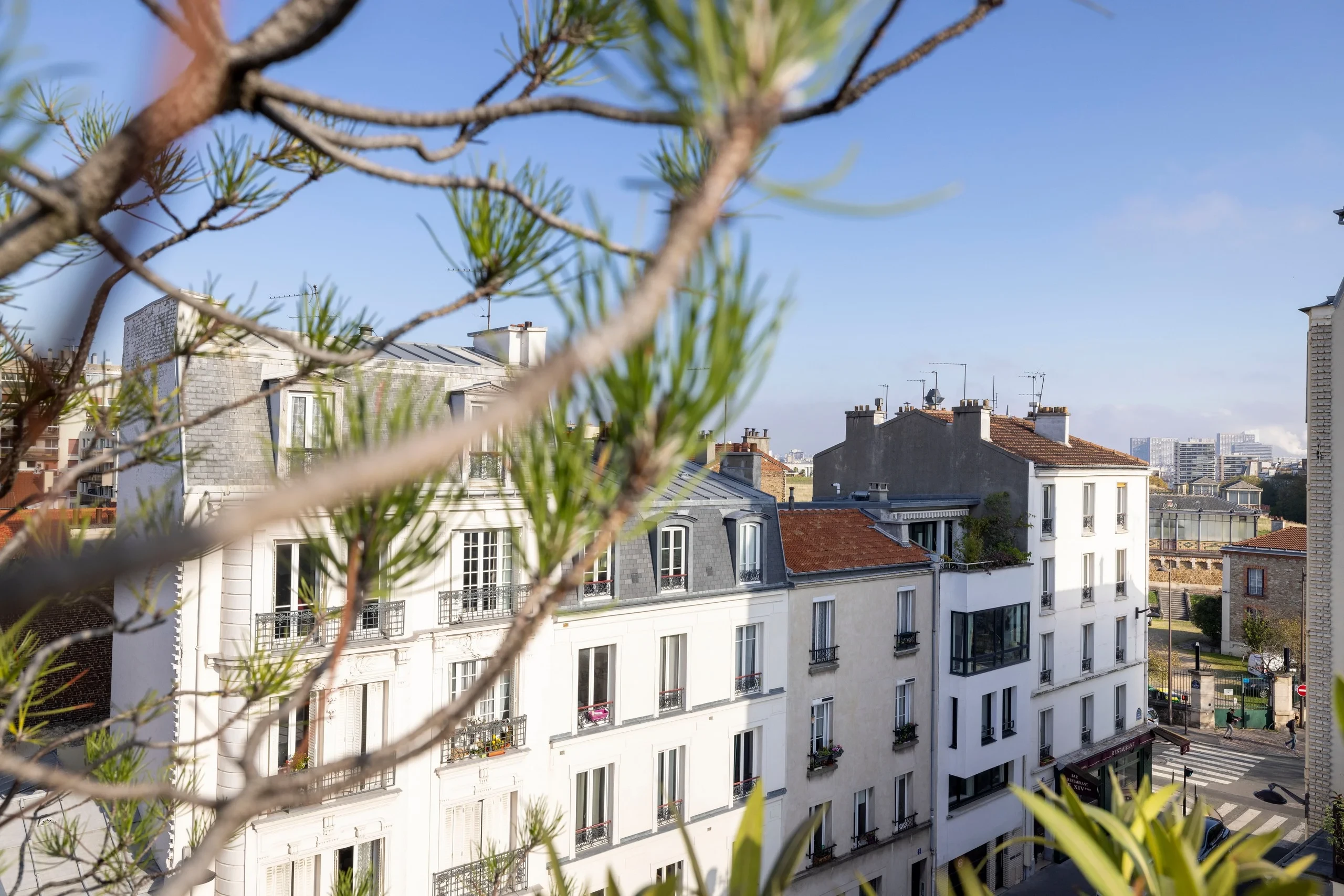 Façades et toits parisiens vus à travers des branches de pin.