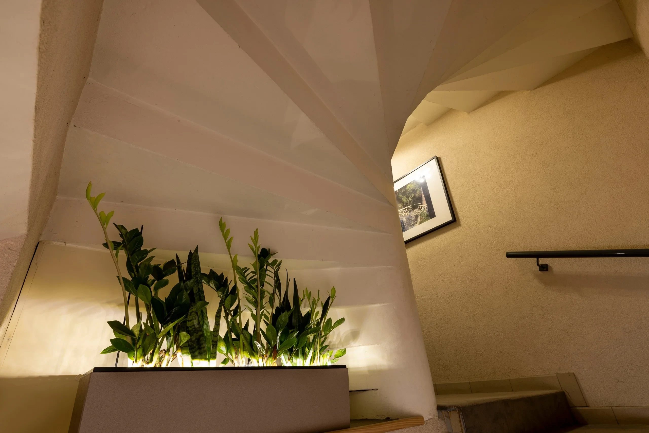 Escalier tournant blanc avec une jardinière éclairée à sa base et une main courante noire.